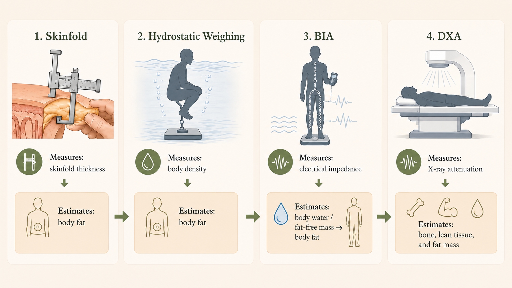 Comparison of skinfold measurement, underwater weighing, bioelectrical impedance, and DXA body-composition tests.